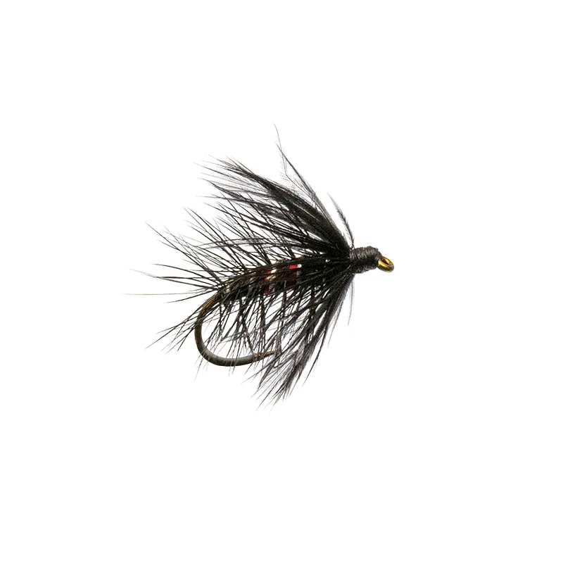 Bibbio
