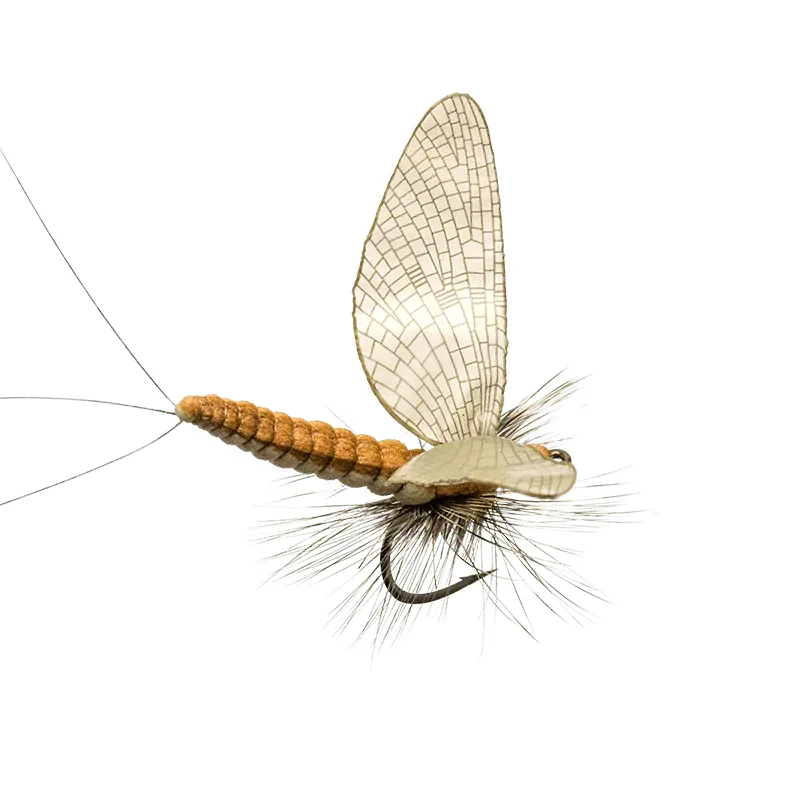Caddis Adult