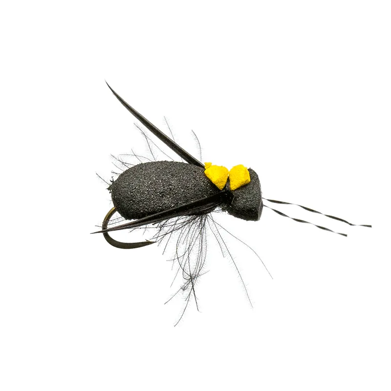 Foam Beetle CDC