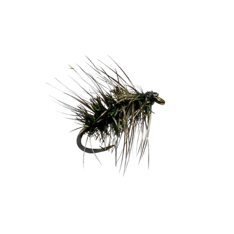 Griffith Gnat