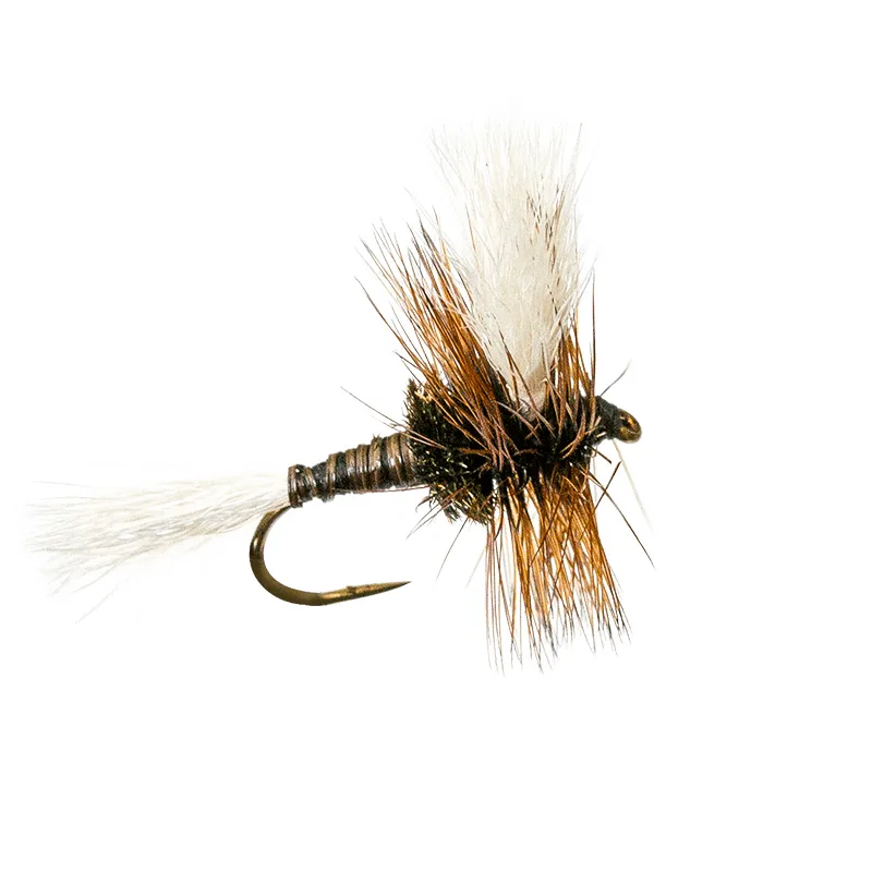H&L Variant