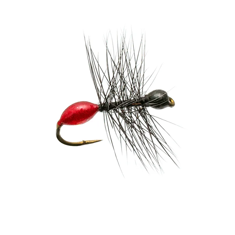 Hard Body Ant Black & Red