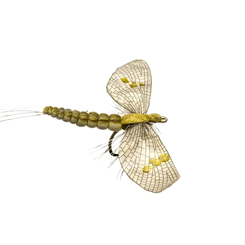 Mayfly Spent