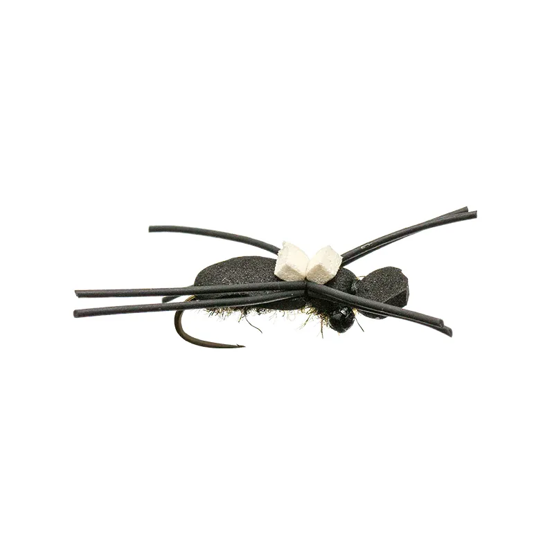 Mike's Carpenter Ant