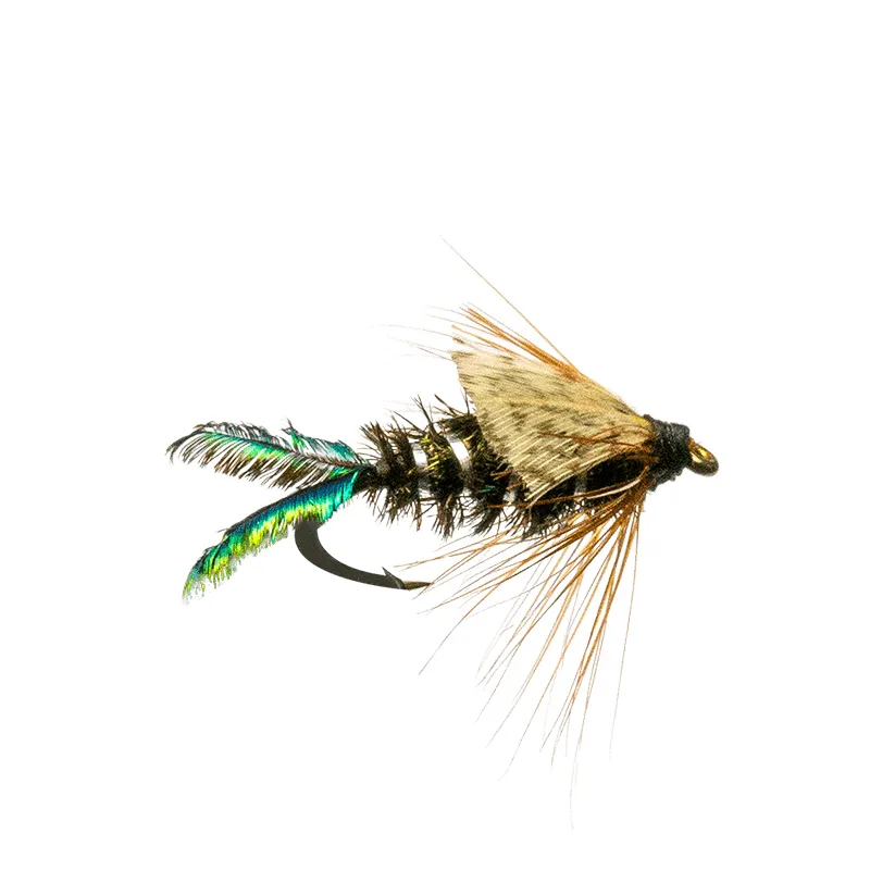 Zug Bug
